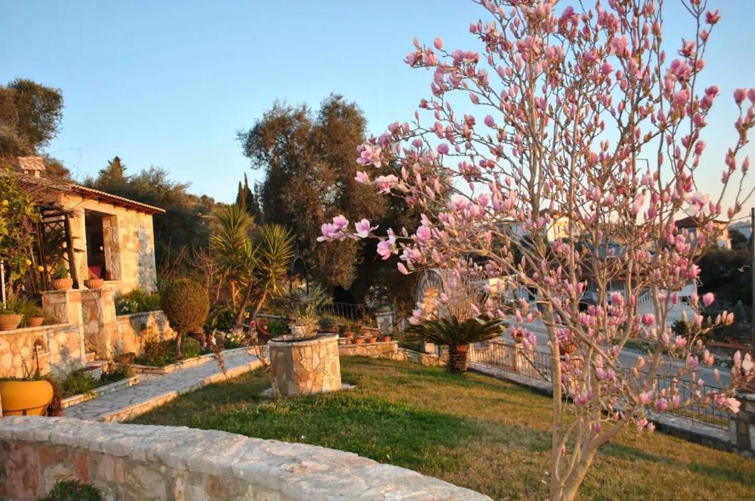 Amaryllis House Apartment Parga Exterior photo